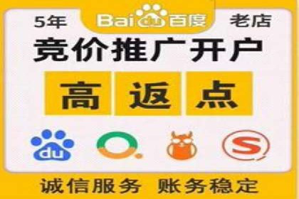 百度竞价排名服务助力：某品牌迅速占领市场